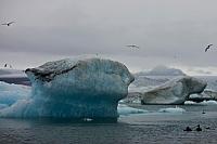 Ledovcová laguna Jökulsarlón