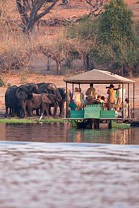 Říční safari po Zambezi v NP Chobe