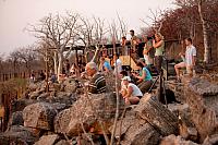 Pozorování zvěře u napajedla z kempu v NP Etosha