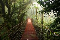 U Santa Elena je možné se horským mlžným pralesem procházet po visutých mostech