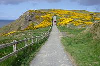 Pobřeží u Carrick-a-Rede Rope Bridge