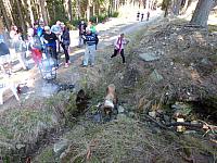 Lassie a studánka