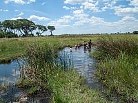 delta řeky Okavango