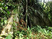 Amazonský prales - nehotelbusový zájezd do centra Oni Shobo je nezapomenutelnou ochutnávkou přírody a života v peruánské Amazonii