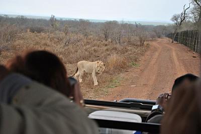 Prohlídka národního parku Etosha