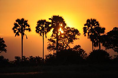 Afrika