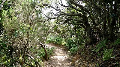 La Gomera (Tři ostrovy věčného jara: Gran Canaria – Tenerife – La Gomera)