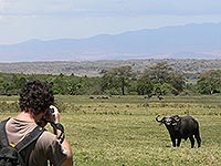 Poznávací zájezd Savanami východní Afriky