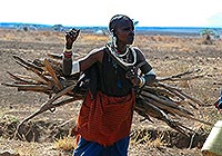 Poznávací zájezd Tanzanie, Malawi, Zambie, Zimbabwe, Botswana, Namibie, JAR: To nejlepší z Afriky Poznávací zájezd Tanzanie, Malawi, Zambie, Zimbabwe, Botswana, Namibie, JAR: To nejlepší z Afriky
