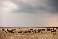 Kilimandžáro a Mount Meru - nejvyšší hory Tanzanie